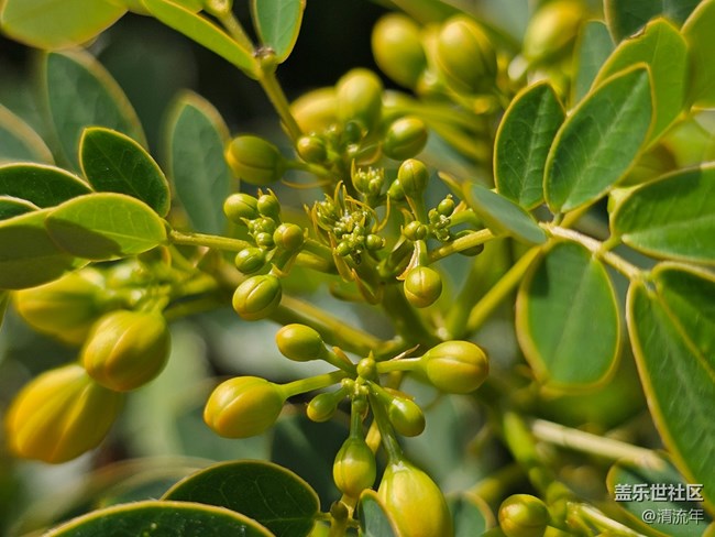 【国庆旅途】路过风景