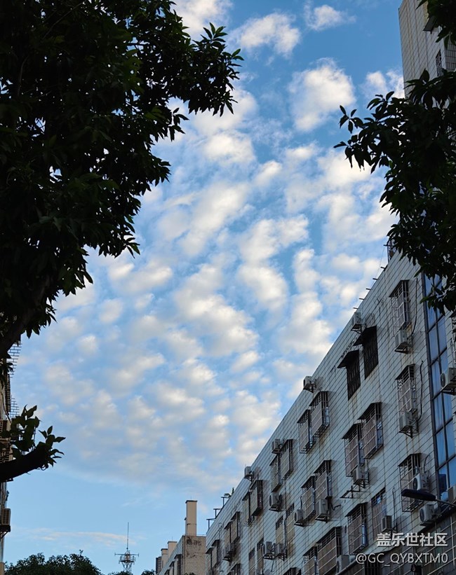 【秋季采风计划】秋日天空