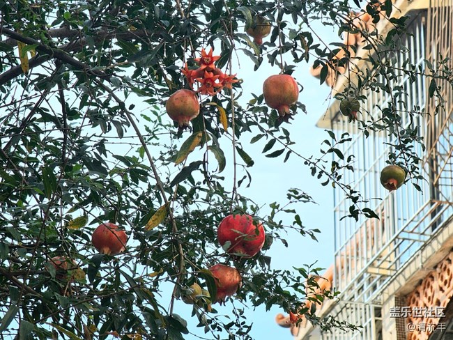 【国庆旅途】路过风景