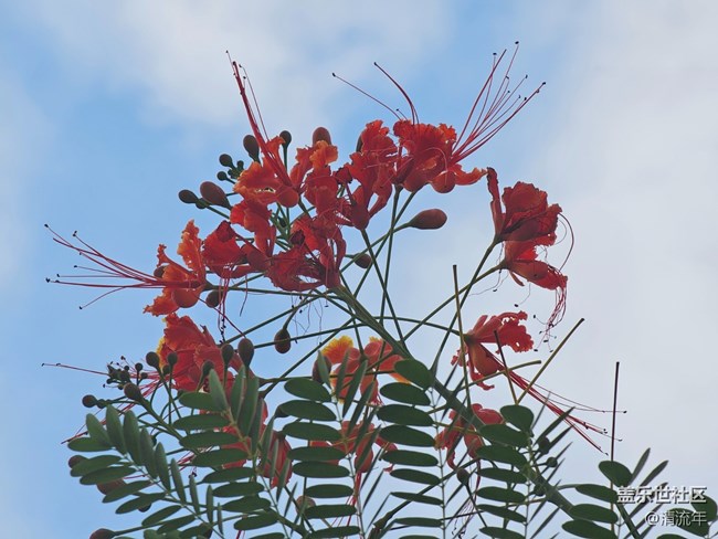 【世间的美好】好时光