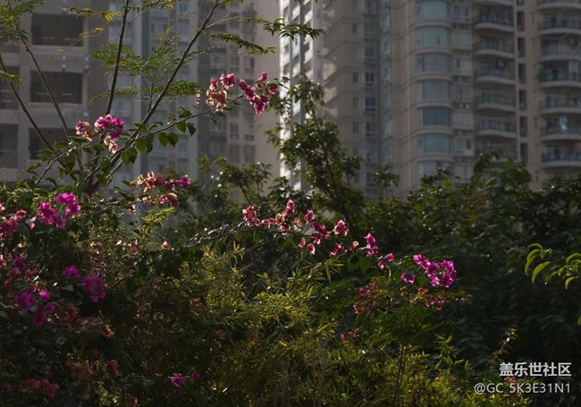 【秋季采风计划】时光静好