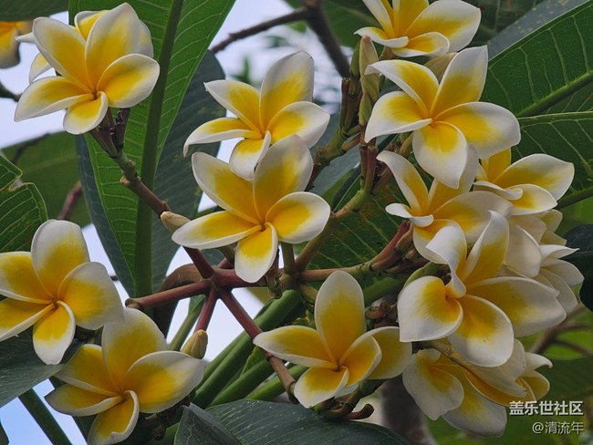 【世间的美好】好时光