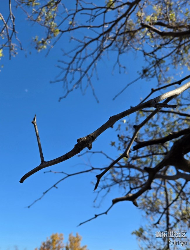 【简而美】简致秋色