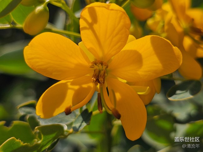 【国庆旅途】路过风景