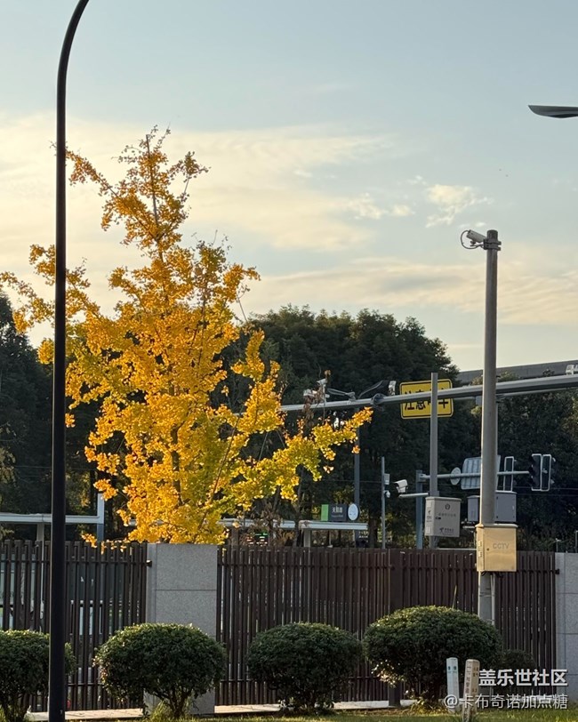 【世间的美好】好天气