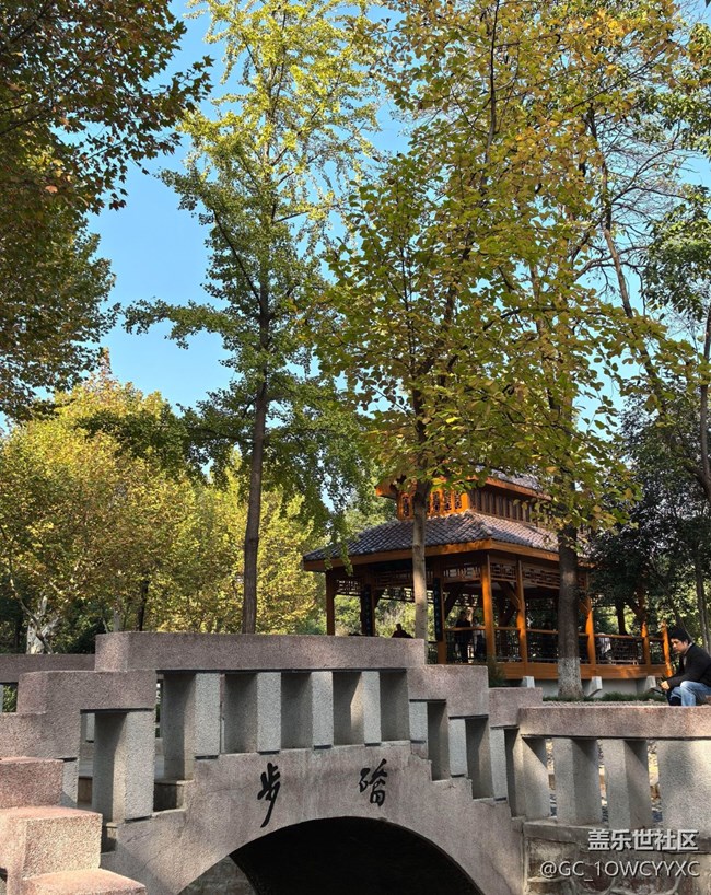 【世间的美好】公园捡秋