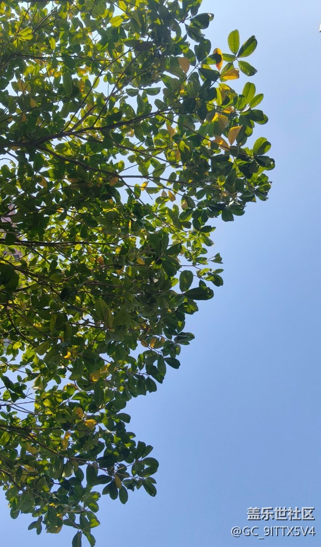 【世间的美好】身边的美景