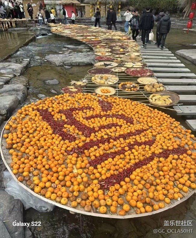 【鹏城寻冬记】游山玩水