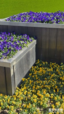 【色彩对话】+多姿多彩