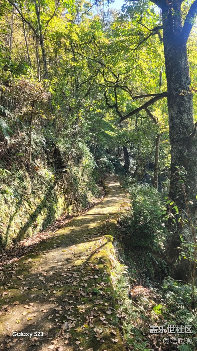 【鹏城寻冬记】爬山赏秋