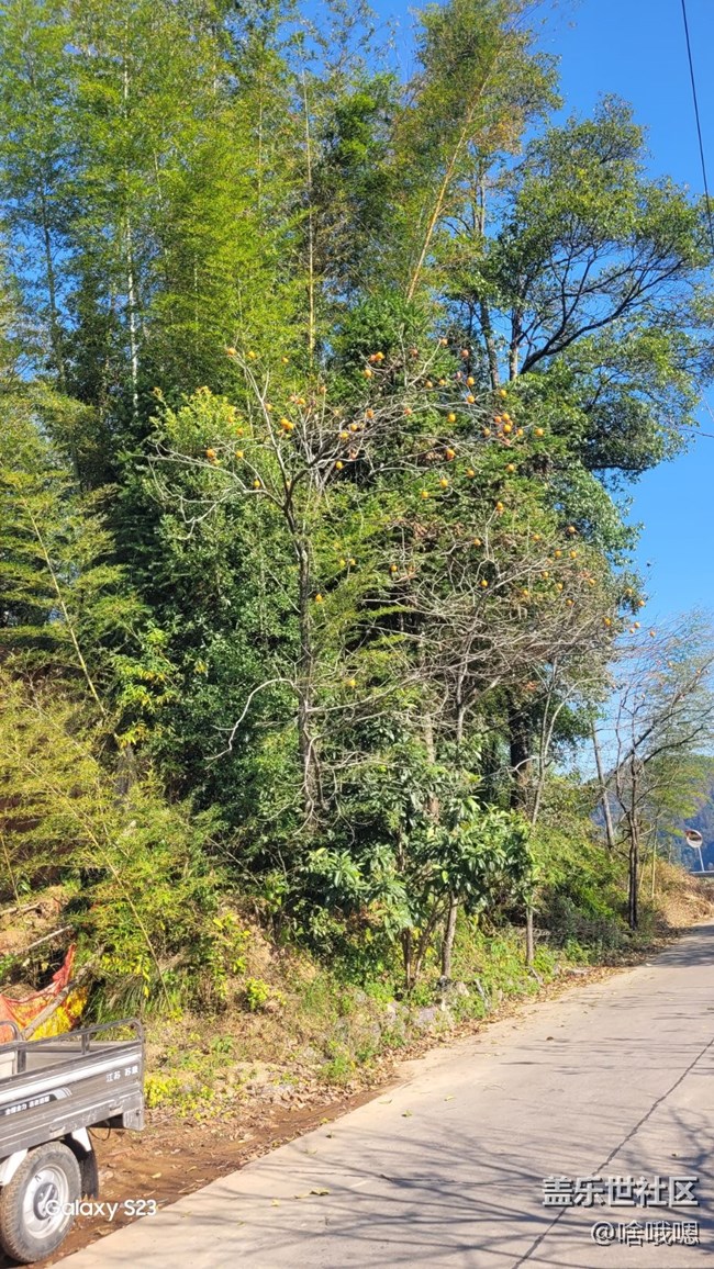 【鹏城寻冬记】爬山赏秋