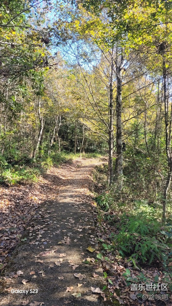 【鹏城寻冬记】爬山赏秋