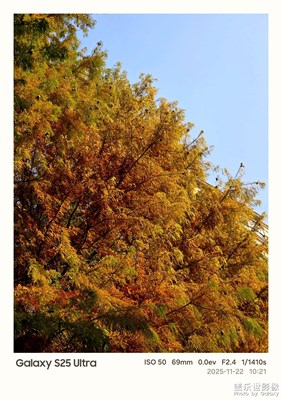 【色彩对话】+初冬的公园