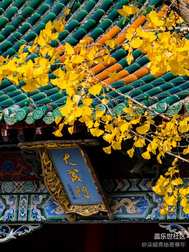 【两亿像素,一眼千年】亳都CityWalk活动回顾 【两亿像素,一眼千年】亳都CityWalk活动回顾