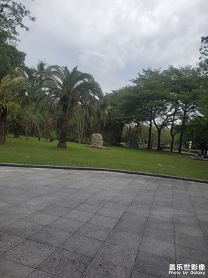 【色彩对话】公园日常