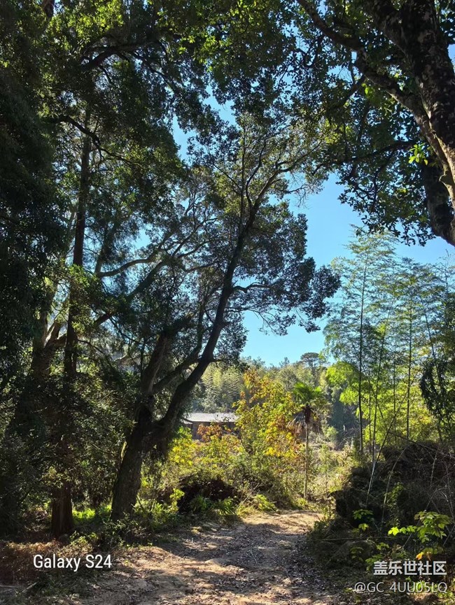 【鹏城寻冬记】登山