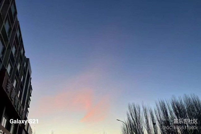 【鹏城寻冬记】初冬好天气