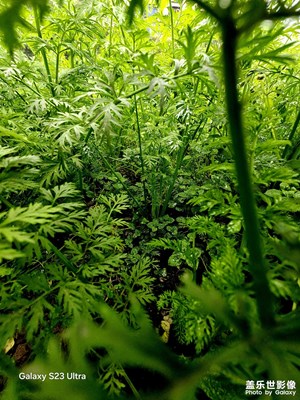 【色彩对话】+今年色彩记录