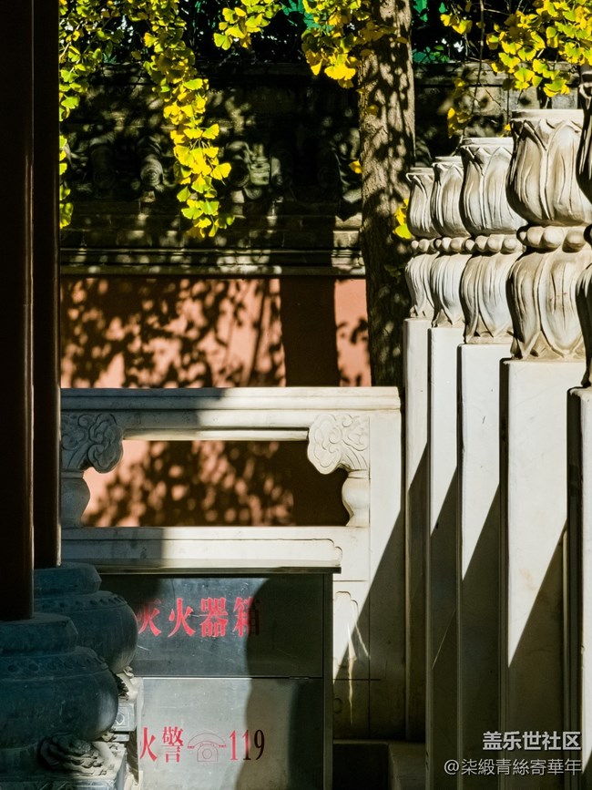 【两亿像素,一眼千年】亳都CityWalk活动回顾 【两亿像素,一眼千年】亳都CityWalk活动回顾