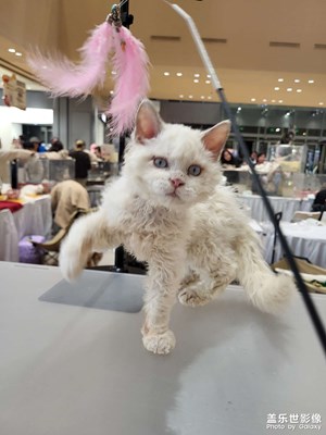 【色彩对话】+深秋时节的南京