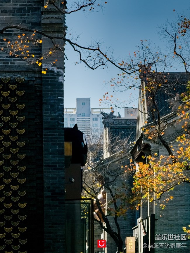 【两亿像素,一眼千年】亳都CityWalk活动回顾 【两亿像素,一眼千年】亳都CityWalk活动回顾