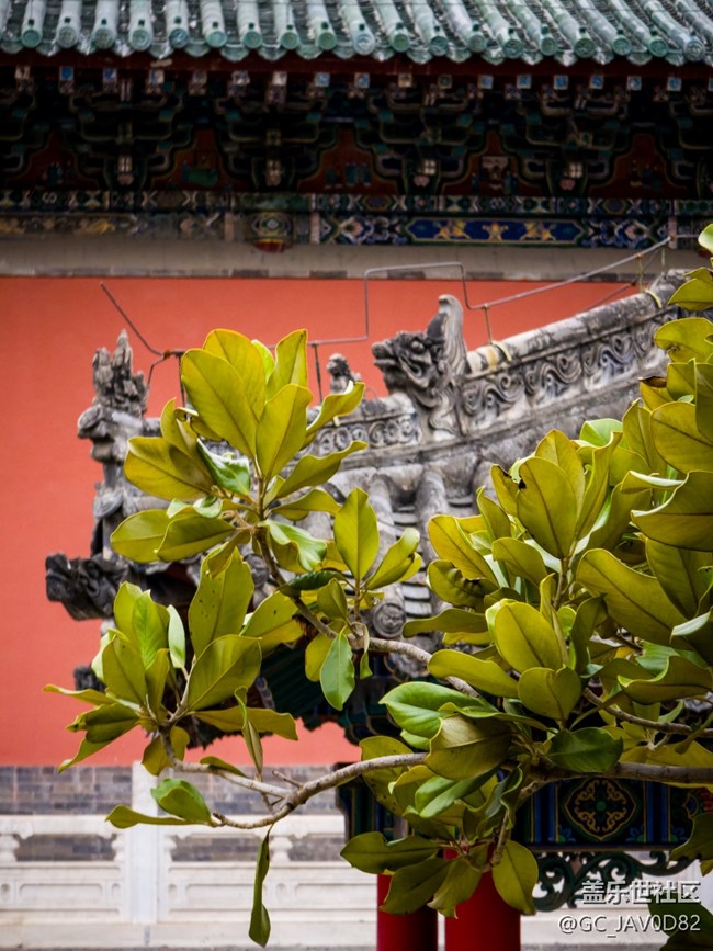 【两亿像素，一眼千年】线下摄影活动