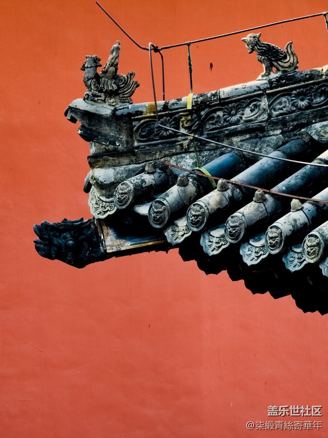 【两亿像素,一眼千年】亳都CityWalk活动回顾 【两亿像素,一眼千年】亳都CityWalk活动回顾