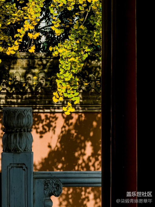 【两亿像素,一眼千年】亳都CityWalk活动回顾 【两亿像素,一眼千年】亳都CityWalk活动回顾