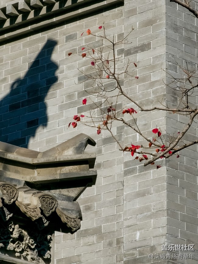 【两亿像素,一眼千年】亳都CityWalk活动回顾 【两亿像素,一眼千年】亳都CityWalk活动回顾