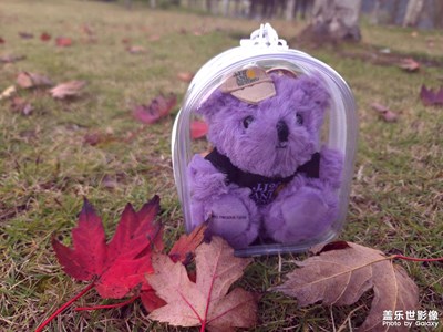 【色彩对话】星期天逛公园