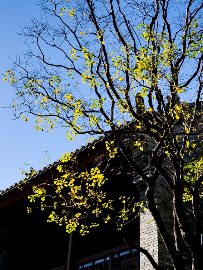 【两亿像素,一眼千年】亳都CityWalk活动回顾 【两亿像素,一眼千年】亳都CityWalk活动回顾