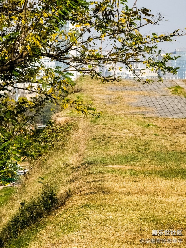 【两亿像素,一眼千年】亳都CityWalk活动回顾 【两亿像素,一眼千年】亳都CityWalk活动回顾