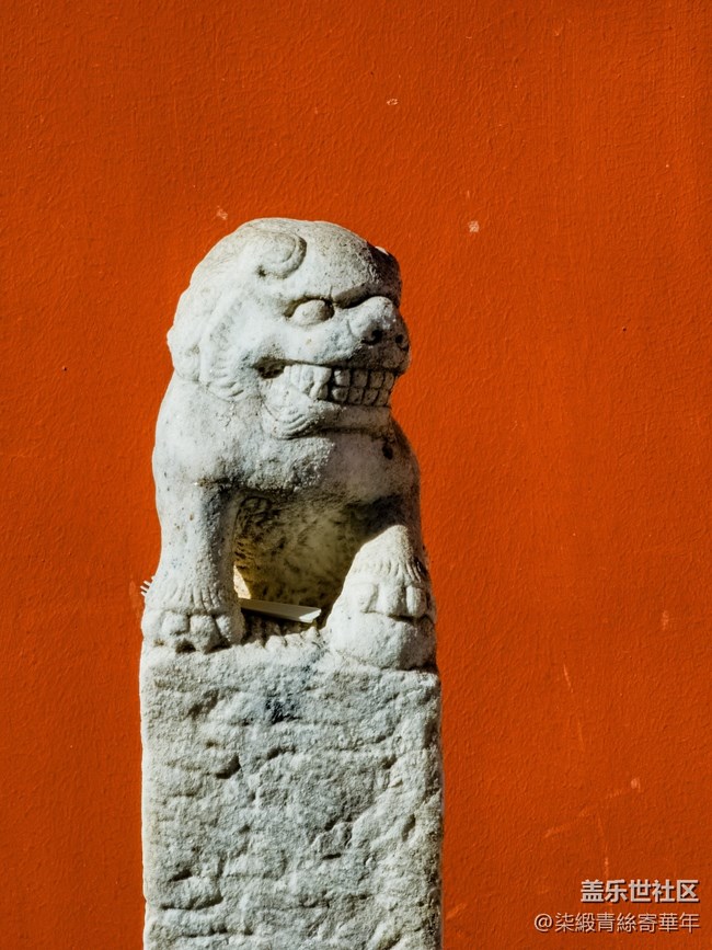 【两亿像素,一眼千年】亳都CityWalk活动回顾 【两亿像素,一眼千年】亳都CityWalk活动回顾