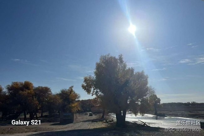 【鹏城寻冬记】初冬好天气