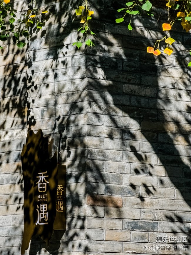 【两亿像素,一眼千年】亳都CityWalk活动回顾 【两亿像素,一眼千年】亳都CityWalk活动回顾