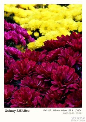 Galaxy S25 Ultra镜头里的花花世界