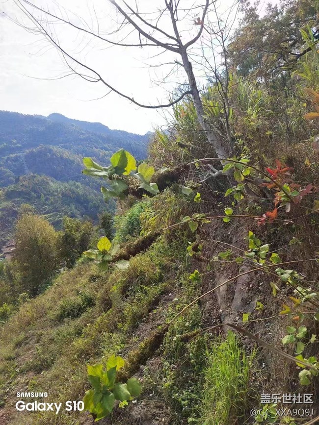 【鹏城寻冬记】天气真好