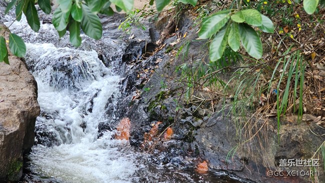 【全镜影像】山间流水