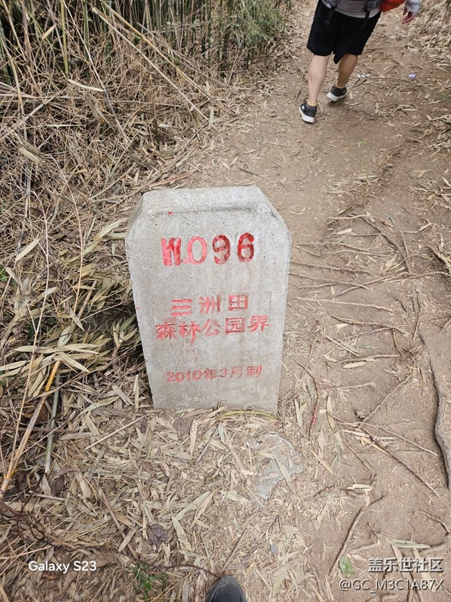 【鹏城寻冬记】徒步