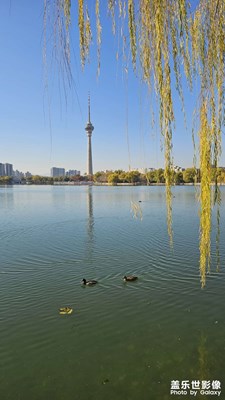 【色彩对话】北京的秋