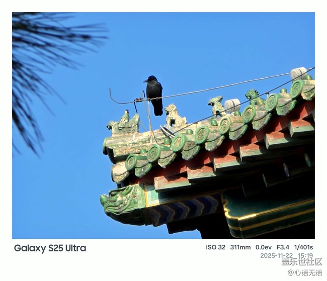 【景山公园】Galaxy S25 Ultra镜头里的景山,历史与自然的交响