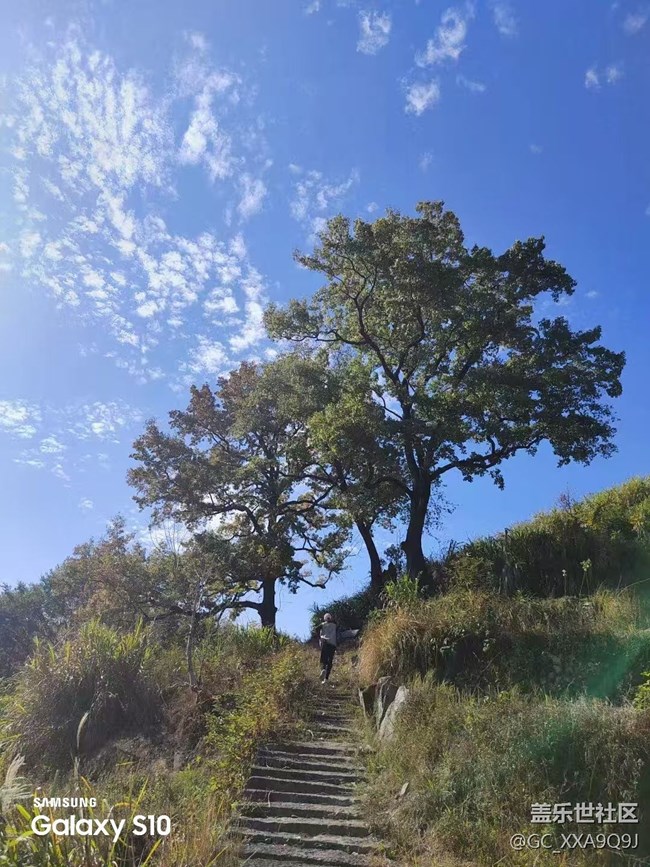 【鹏城寻冬记】天气真好