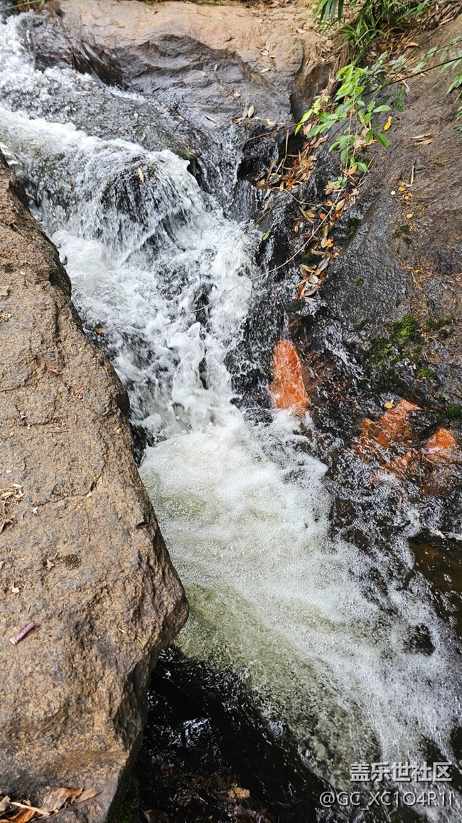 【全镜影像】山间流水