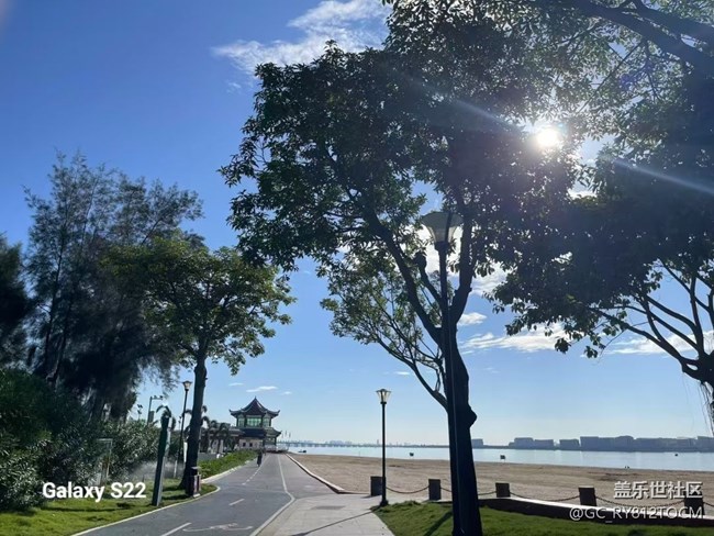 【鹏城寻冬记】风景这边独好