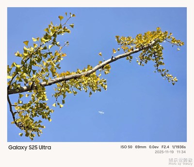 三星Galaxy S25 Ultra 镜头下的秋叶