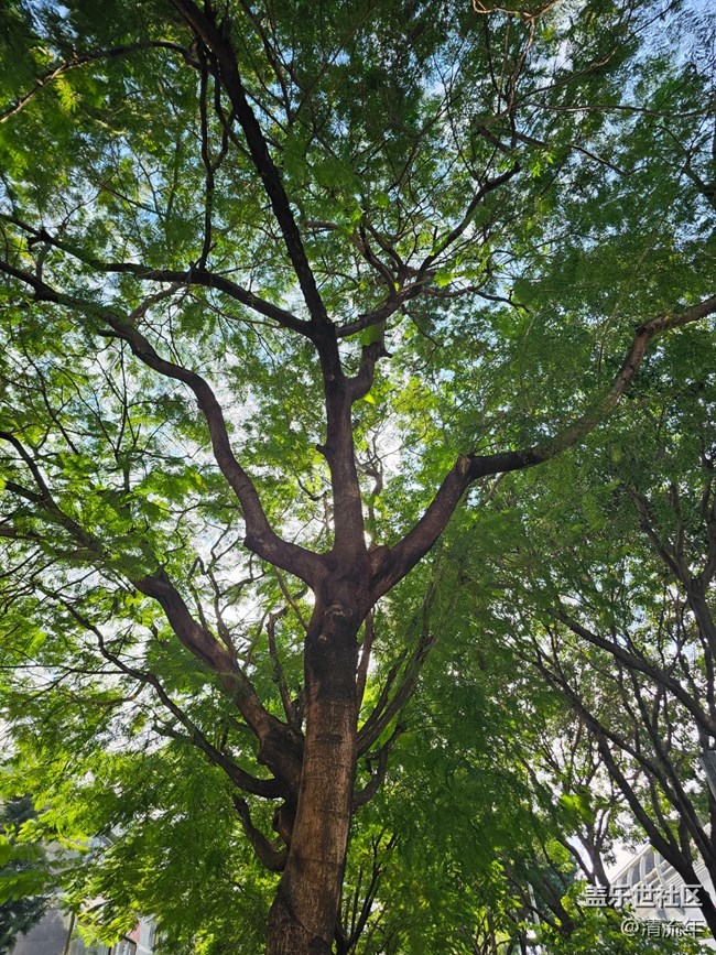 【全镜影像】好天气