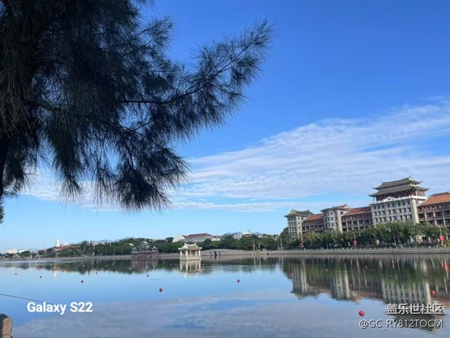 【鹏城寻冬记】风景这边独好