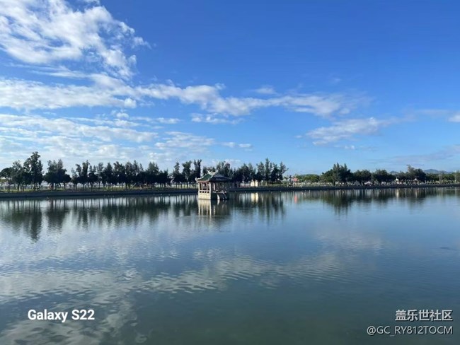 【鹏城寻冬记】风景这边独好