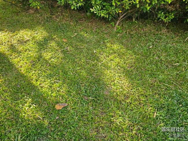 【全镜影像】好天气