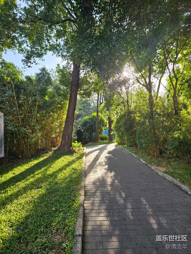 【全镜影像】好天气